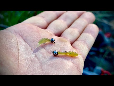 Видео: 🔥Ці приманки ловлять ВСЕ! Мормишинг - червонопірка на спінинг. Нано джиг