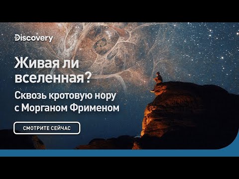 Видео: Живая ли Вселенная? | Сквозь кротовую нору с Морганом Фрименом | Discovery