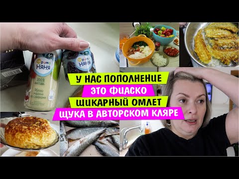 Видео: У нас ПОПОЛНЕНИЕ /  Это ФИАСКО / Новые ИГРУШКИ / Шикарный ОМЛЕТ от Гусарихи / Щука в АВТОРСКОМ КЛЯРЕ