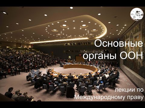 Видео: Основные органы ООН
