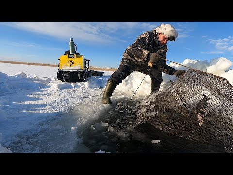 Видео: Рыбалка на КАТИСКИ и МОРДУШКИ. Эксперимент УДАЛСЯ!!! Закрыли зимний сезон. Рыбалка в Сибири 2022.