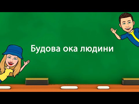 Видео: Будова ока людини.