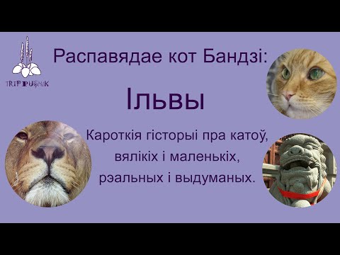 Видео: Кароткія гісторыі пра катоў, вялікіх і маленькіх, рэальных і выдуманых - Ільвы - Распавядае Бандзі