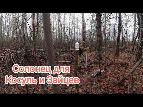 Видео: Солонец - Факел в лесу для прикормки диких Косуль, Зайцев и Кабанов.