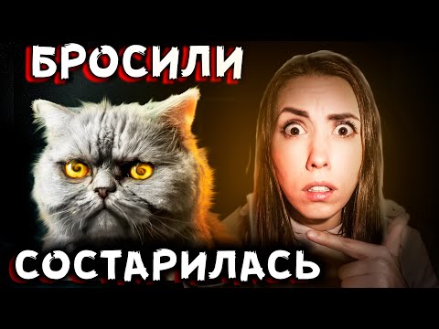 Видео: ЧТО СТАЛО с кошкой Мартой? АлоЯ Вера, Alex Amoral забрали кошку