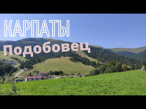 Видео: ШОК! Так высоко на горе с палаткой ещё не стояли. Путешествуем на машине по Карпатам.