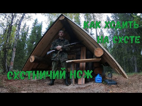 Видео: Как ходить по лесу на охоте с лайкой. НОЖ ДЛЯ ОХОТЫ