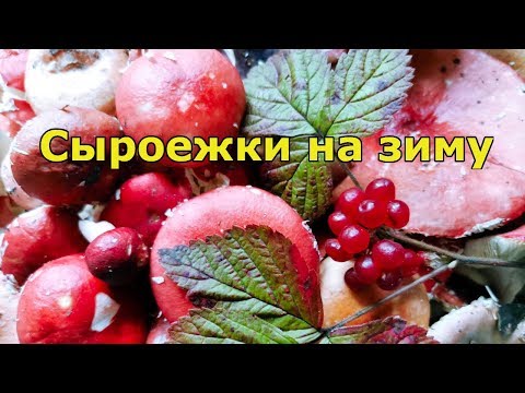 Видео: Как солить сыроежки на зиму