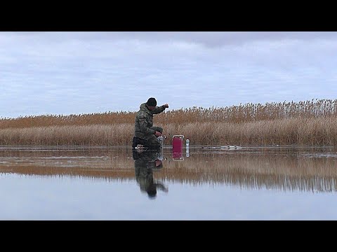 Видео: ОПАСНЫЙ ПЕРВЫЙ ЛЁД - ЭТО ЖЕСТЬ. ЗИМНЯЯ РЫБАЛКА на тонком льду в оттепель.