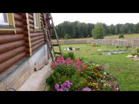 Видео: Поиск золота у Коли чемпиона на шабашке!