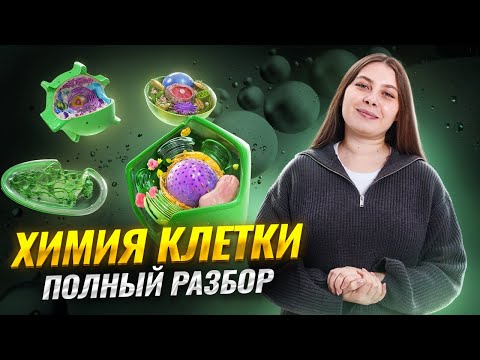 Видео: Химия клетки | Все что нужно знать для ЕГЭ по биологии | Умскул