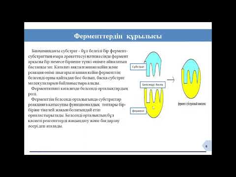 Видео: Ферменттер белсенділігіне әсер етуші факторлар мен жағдайлар