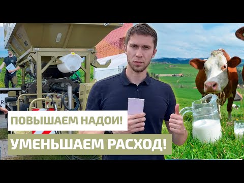 Видео: Повышаем надои и уменьшаем расходы на кормлении КРС. Плющилка влажного зерна Romill M2 Plus