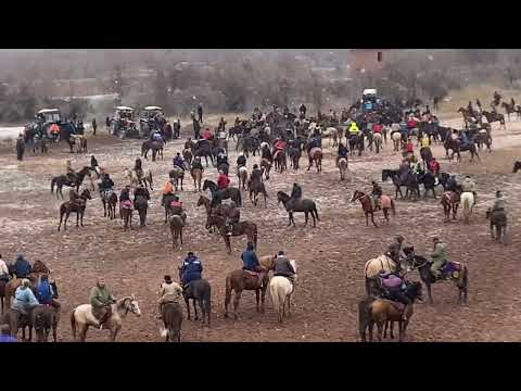 Видео: Бузкаши Точикобод Охирон Солим.05.01.2025