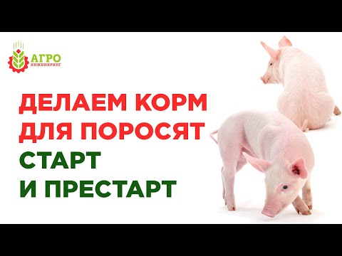 Видео: Как сделать самим корм для поросят  старт и престарт до отъема от самки и после.