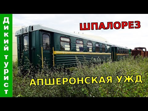 Видео: ШПАЛОРЕЗ - Апшеронская узкоколейка (УЖД). Дорога в Матрицу
