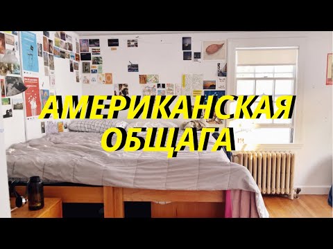 Видео: ТУР ПО ОБЩАГЕ В США: Живу с Крысами