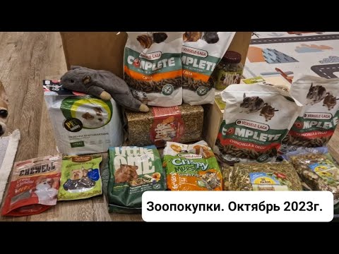 Видео: Зоопокупки. Октябрь 2023 г.