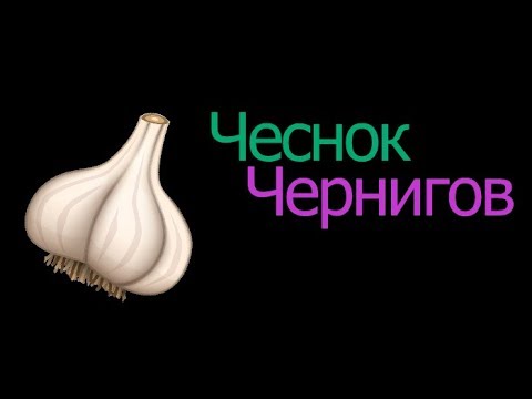 Видео: Болезни чеснока и лука. Инфицирование и проявление на растениях. Профилактика и лечение.