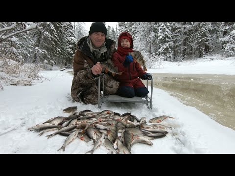 Видео: ОН ПОПАЛ ПЕРВЫЙ РАЗ НА ПЕРВЫЙ ЛЁД! САМЫЕ ЖЕЛАННЫЕ РЫБЫ И МОРЕ ЭМОЦИЙ НА ПЕРВОЙ ЗИМНЕЙ РЫБАЛКЕ ЯМАЛА!