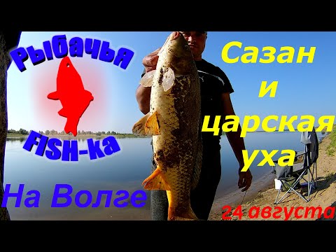 Видео: Рыбалка на Волге! Сазан и царская уха! Часть 2.