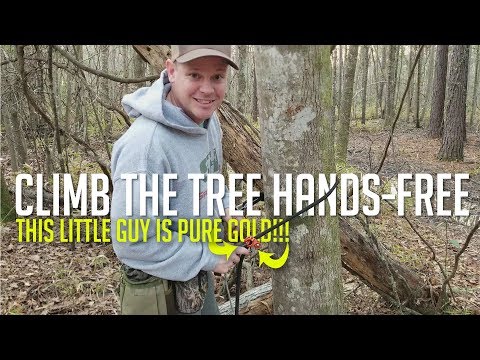 Видео: Пояс Lineman 101 для охотников