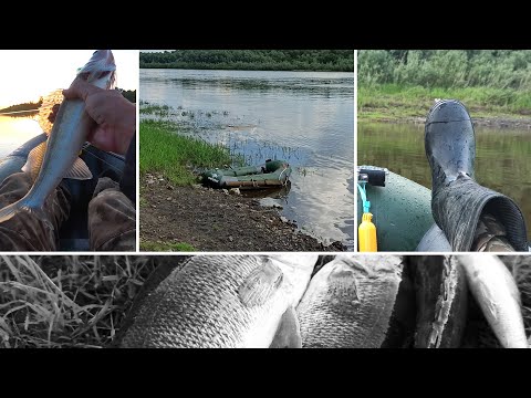 Видео: Очень легкая лодка - пакрафт! Провожу тест на надежность.Река Ока.Ловлю окуней , бершей, судачков!