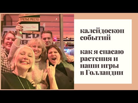 Видео: Почему я больше не покупаю парфюмы. Игры в Голландии, как я спасаю крестовник.