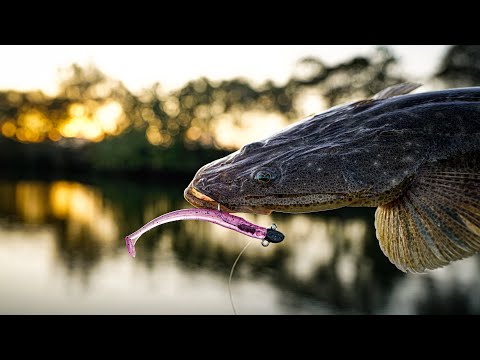 Видео: Тестирование НОВОГО цвета HOLT SWIMMINNOW