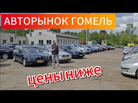 Видео: АВТОРЫНОК ГОМЕЛЬ Беларусь  дешевле чем в Минске?!