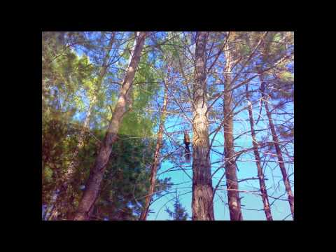 Видео: Байкит