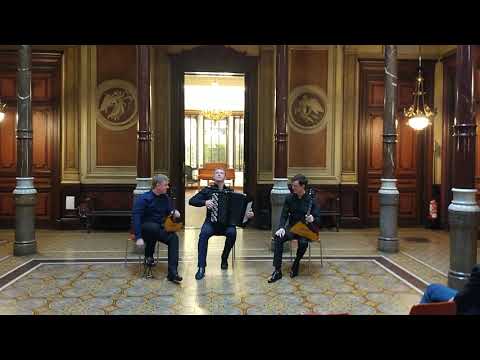 Видео: А.Беляев-А.Цыганков-"Цыганочка"