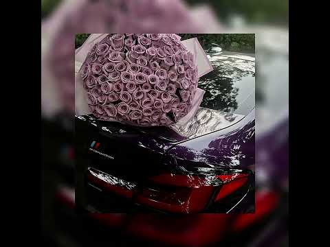 Видео: Май - Айни, Пабло, Mr Lambo (Slowed + Reverb)