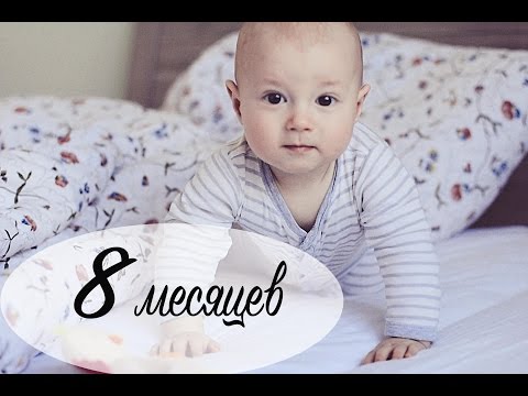 Видео: Развитие ребенка в 8 месяцев - МНОГО МИШУТКИ. - Ollysadvice