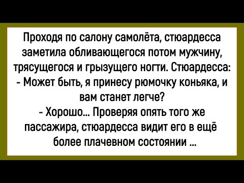 Видео: 💁‍♂️ Как Мужик Боялся Летать В Самолёте! Сборник Новых Смешных Анекдотов! Юмор! Позитив!