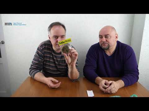 Видео: Скандалы вокруг Ваби Кусы