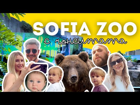 Видео: В ЗООПАРК СОФИЯ С ЧОНСИТАТА