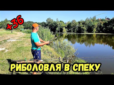 Видео: ПОЛЮВАННЯ НА ТОВСТОЛОБА / РИБОЛОВЛЯ НА ГАРНОМУ ОЗЕРІ У ВАЛЕРИ