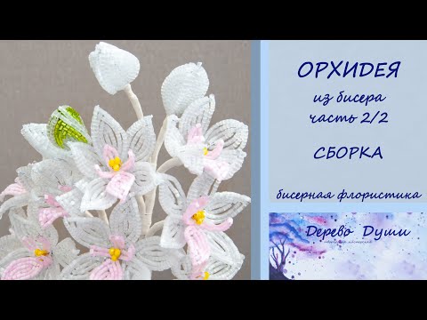 Видео: ОРХИДЕИ ч. 2/2. Цветы из бисера МК/Сборка композиции/beaded orchid/DIY