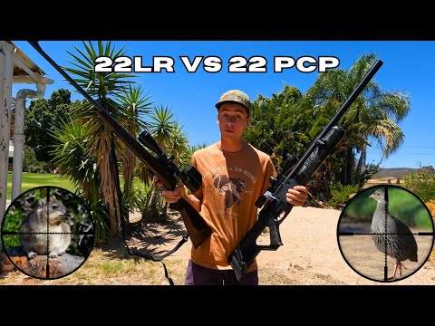 Видео: 22LR против 22PCP на охоте!!