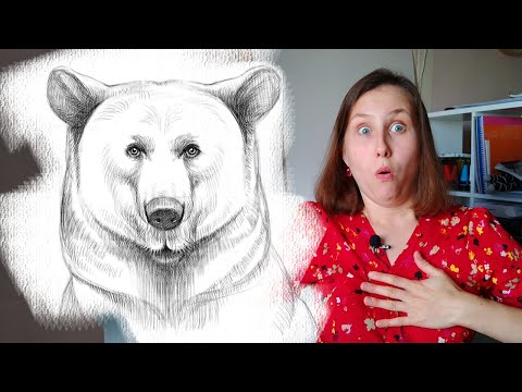 Видео: Как нарисовать медведя карандашом. Поэтапный туториал по рисованию