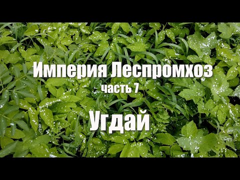 Видео: Угдай