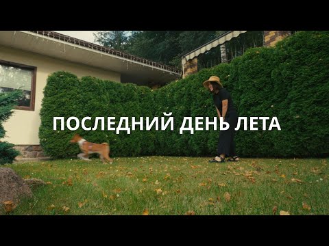 Видео: Уютный влог из Минска | выходные на природе, рынок🥬🍉, шашлыки