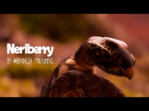 Видео: Neriberry — В твоей голове (Lyric Video)