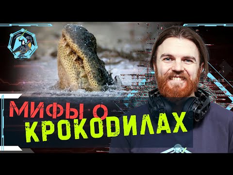 Видео: Мифы о «живых ископаемых» крокодилах. Дмитрий Пащенко. Ученые против мифов Z-2