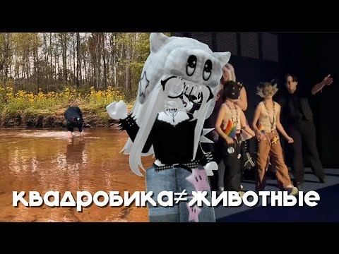 Видео: реакция на квадробику из лайка 🧨 квадробика это позор ?