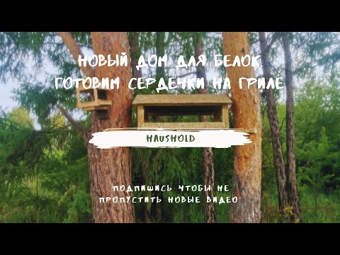 Видео: Новый дом для белок. Готовим сердечки на гриле.