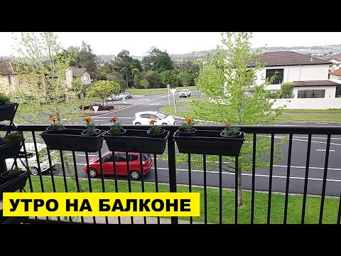 Видео: МОЙ ВЕСЕННИЙ УТРЕННИЙ БАЛКОН В НОВОЙ ЗЕЛАНДИИ