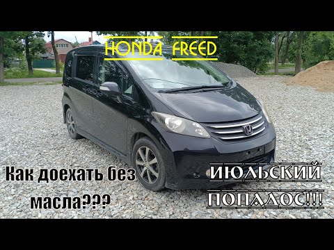 Видео: Honda Freed. Владивосток - Новосибирск. Что ждало в пути, маслянный понос, разбитый асфальт!!!