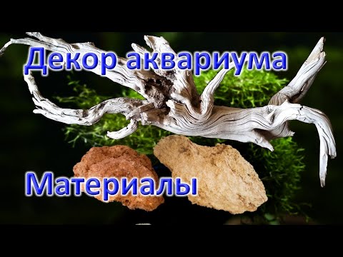 Видео: Декор аквариума. Какие использовать материалы?
